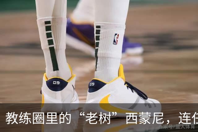 教练圈里的“老树”西蒙尼，连任时长撂倒半边天！